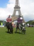 Animation �questre � Paris