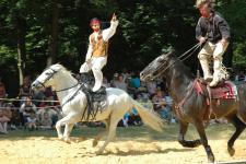 Cascadeurs voltigeurs professionnels à cheval