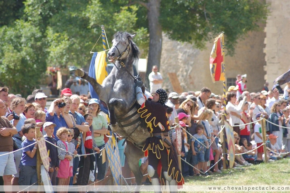 Chevalier et cabré