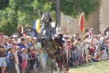 Chevalier et cabr�