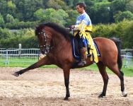 Chevalier et son destrier