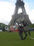 Dressage au pied de la tour Eiffel