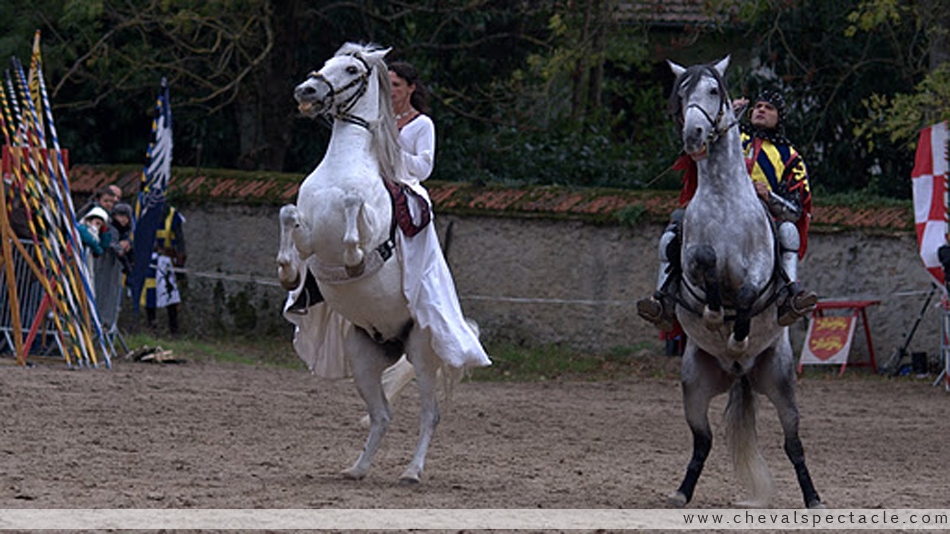 Duo de Haute Ecole