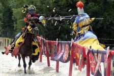 Chevalerie : Le roi Arthur et les légendes de la table ronde 