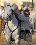 Equerre pour un � terre, � cheval