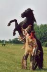 Indien et son cheval se cabrant