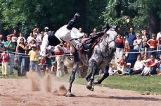 Indien tombant de cheval