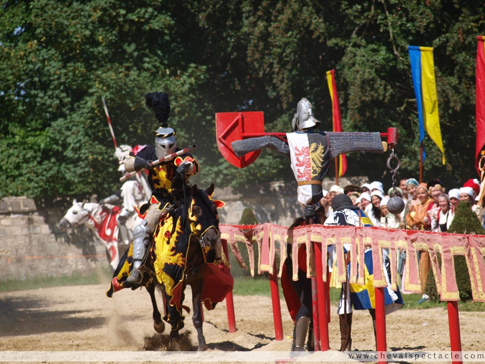 L�entra�nement d�un chevalier et sa monture