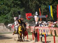 L�entra�nement d�un chevalier et sa monture