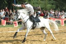 L'�tendard, figure de voltige