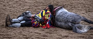 Le repos des guerriers