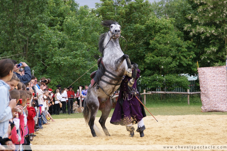 Scène de dressage