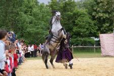 Sc�ne de dressage