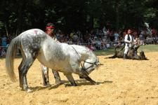 Spectacle equestre avec des Indiens