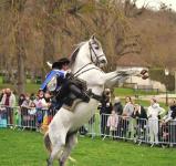 Spectacle Mousquetaire