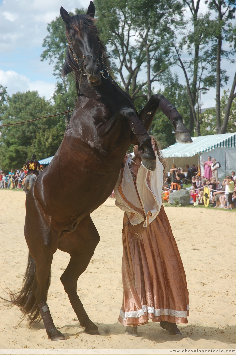 Travail du cheval, � pieds