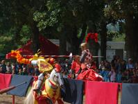 Un chevalier d�sar�onnant son adversaire