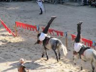 Voltige aux Ar�nes de Lut�ce
